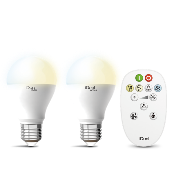 Lot de 2 ampoules E27 led avec télécommande iDual Blanc Plastique – E27 led  connectée chez Web-Luminaire